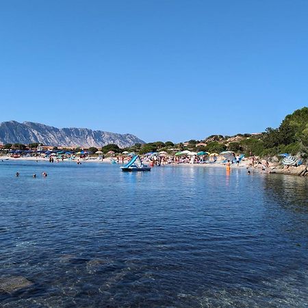 Apartament Porto Coda Cavallo - Salina Bamba San Teodoro  Zewnętrze zdjęcie